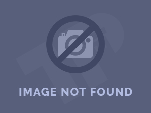 Review of Romansa Stovia: When Romance Meets the Traces of History